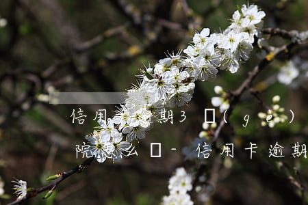 信用卡逾期3個(gè)月被起訴移交了法院怎么辦-信用卡逾期3個(gè)月被起訴移交了法院怎么辦呢