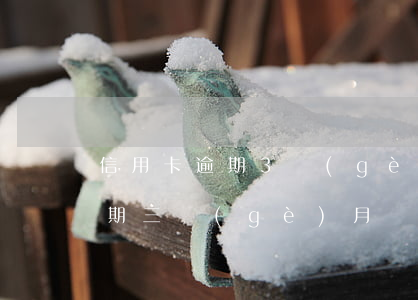 信用卡逾期3個(gè)月要坐牢(信用卡逾期三個(gè)月會(huì)坐牢嗎)