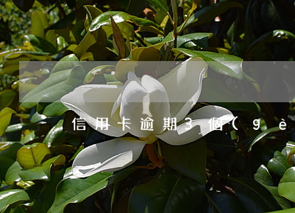 信用卡逾期3個(gè)月還不上