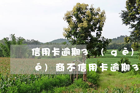 信用卡逾期3個(gè)月還可以協(xié)商不(信用卡逾期3個(gè)月還可以協(xié)商不還嗎)