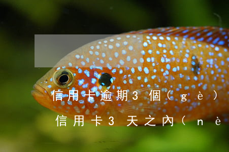 信用卡逾期3個(gè)月還最低算逾期嗎(信用卡3天之內(nèi)算逾期嗎)