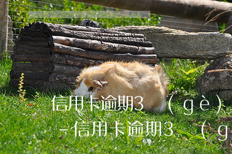 信用卡逾期3個(gè)月還款先扣本金嗎-信用卡逾期3個(gè)月還款先扣本金嗎