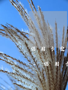 信用卡逾期3個(gè)月還清了還能用嗎-信用卡逾期3個(gè)月還清了還能用嗎