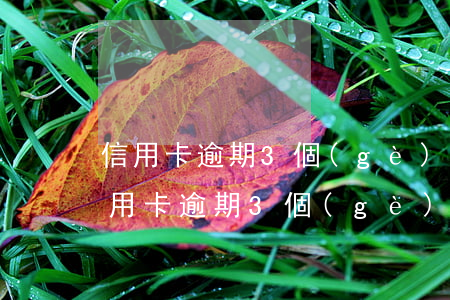 信用卡逾期3個(gè)發(fā)傳票 信用卡逾期3個(gè)發(fā)傳票