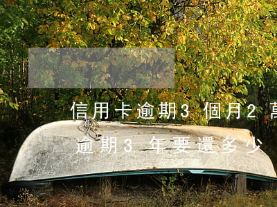 信用卡逾期3個月2萬利息多少(信用卡2萬逾期3年要還多少)