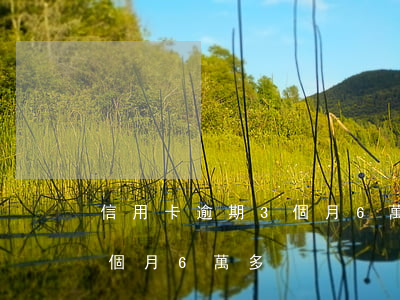 信用卡逾期3個月6萬多少錢（信用卡逾期3個月6萬多）