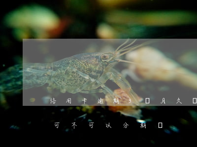 信用卡逾期3個月久嗎 欠信用卡逾期3個月,可不可以分期還