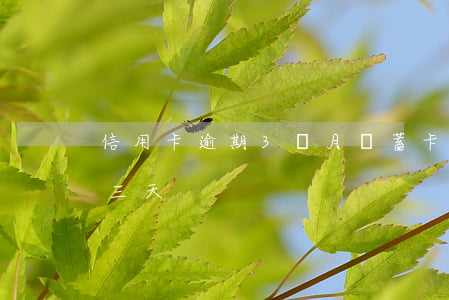 信用卡逾期3個月儲蓄卡(每個月信用卡逾期三天)