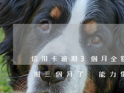 信用卡逾期3個月全額還清(三萬的信用卡逾期三個月了,沒能力償還)