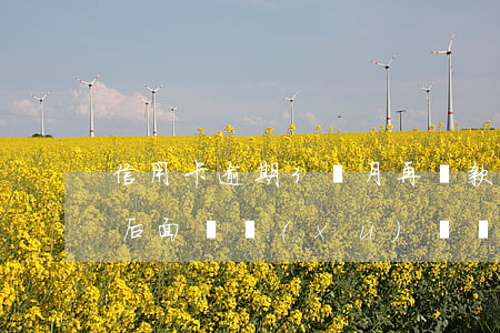 信用卡逾期3個月再還款(信用卡逾期3個月后面陸續(xù)還錢進(jìn)去有用嗎)