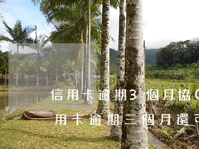 信用卡逾期3個月協(xié)商流程(欠信用卡逾期三個月還可以溝通嘛)