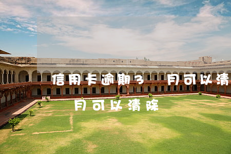 信用卡逾期3個月可以清除嗎(信用卡逾期3個月可以清除嗎)