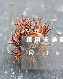 信用卡逾期3個月可以車貸嗎(車貸逾期3個月嚴(yán)重嗎)