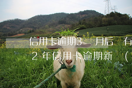 信用卡逾期3個月后會有什么影響-2022年信用卡逾期新規(guī)定
