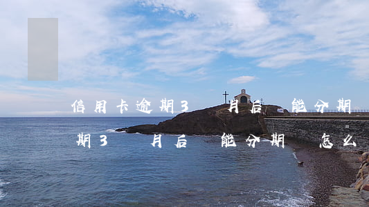信用卡逾期3個月后還能分期嗎-信用卡逾期3個月后還能分期嗎怎么辦