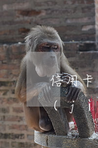 信用卡逾期3個月后面陸續(xù)還錢進(jìn)去有用嗎-信用卡逾期3個月后面陸續(xù)還錢進(jìn)去有用嗎安全嗎