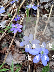 信用卡逾期3個月多久上門(信用卡3000逾期半年會上門嗎)