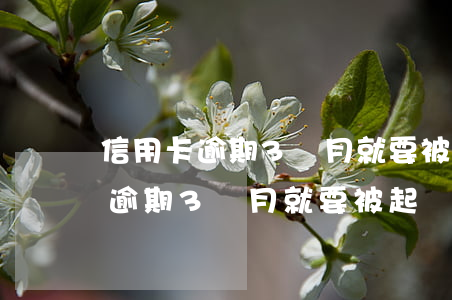 信用卡逾期3個月就要被起訴了嗎-信用卡逾期3個月就要被起訴了嗎怎么辦
