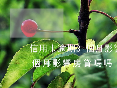 信用卡逾期3個月影響房貸嗎(信用卡逾期3個月影響房貸嗎嗎)