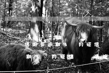 信用卡逾期3個月征信記錄清除-信用卡逾期3個月征信記錄清除了