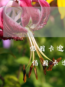 信用卡逾期3個月怎么補(bǔ)救(三個月信用卡逾期銀行起訴我怎么辦)
