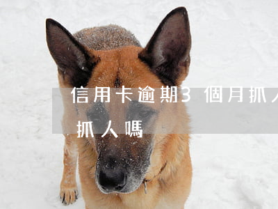 信用卡逾期3個月抓人(信用卡逾期可以直接抓人嗎)