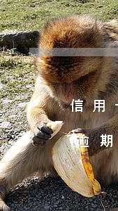 信用卡逾期3個月最低可以嗎(信用卡3個月逾期狀態(tài))