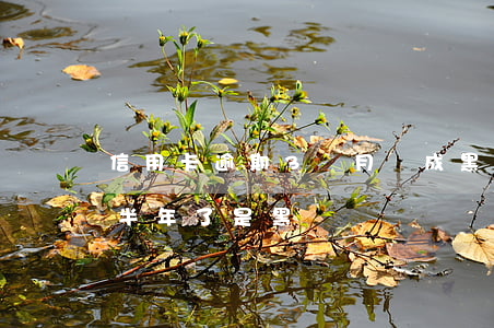 信用卡逾期3個月會成黑戶嗎(我信用卡逾期半年了是黑戶嗎)