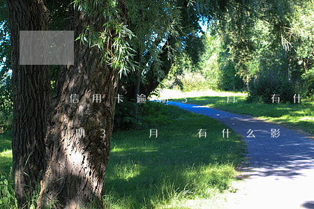 信用卡逾期3個月會有什么影響-信用卡逾期3個月會有什么影響嗎
