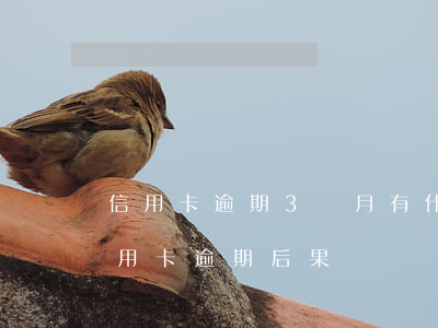 信用卡逾期3個月有什么嚴重問題(三個月信用卡逾期后果)