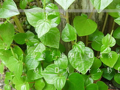 信用卡逾期3個月有什么影響嗎-信用卡逾期3個月有什么影響嗎知乎