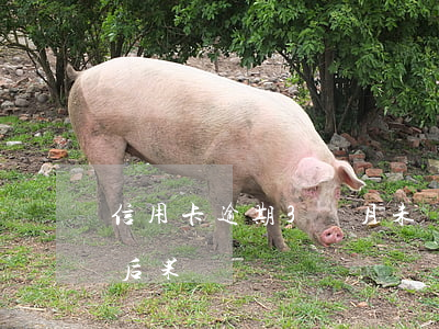 信用卡逾期3個月未還款(三個月信用卡逾期后果) 信用卡逾期3個月未還款(三個月信用卡逾期后果)