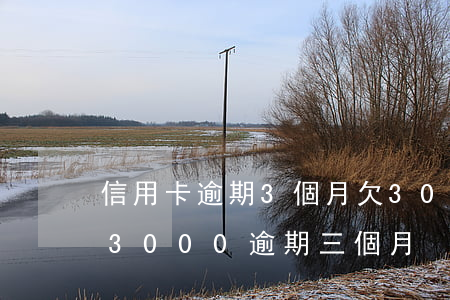 信用卡逾期3個月欠3000多-欠信用卡3000逾期三個月