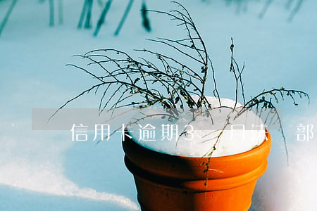 信用卡逾期3個月法務部報案-信用卡逾期