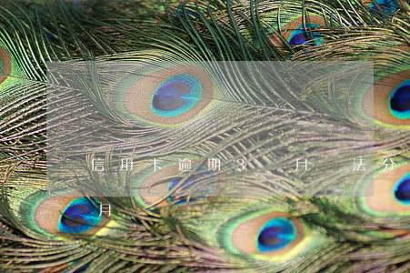 信用卡逾期3個月無法分期(即分期逾期三個月)