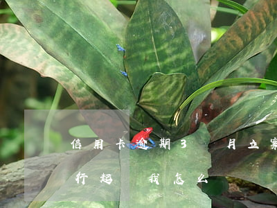 信用卡逾期3個月立案(三個月信用卡逾期銀行起訴我怎么辦)