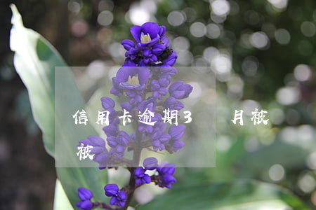 信用卡逾期3個月被凍結(信用卡逾期3個月被凍結)