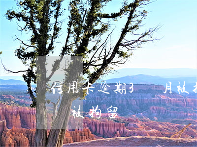 信用卡逾期3個月被拘留(信用卡逾期兩萬多會被拘留嗎)