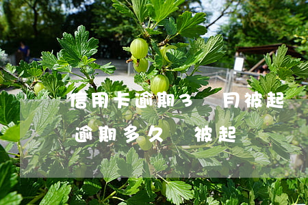 信用卡逾期3個月被起訴怎么辦(3萬信用卡逾期多久會被起訴)