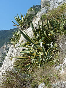 信用卡逾期3個月補(bǔ)救(現(xiàn)在信用卡逾期3個月了,我都不知道怎么辦)