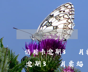 信用卡逾期3個月要起訴我怎么辦-信用卡逾期3個月要起訴我怎么辦呢