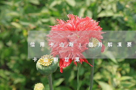 信用卡逾期3個月解凍要多久-三個月信用卡逾期后果