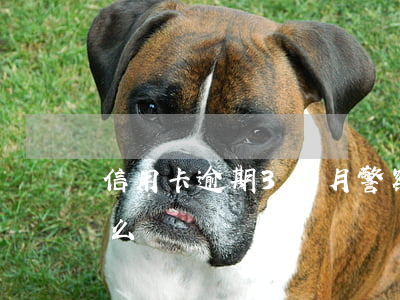 信用卡逾期3個月警察(警察的信用卡逾期怎么辦)