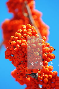 信用卡逾期3個月還不清