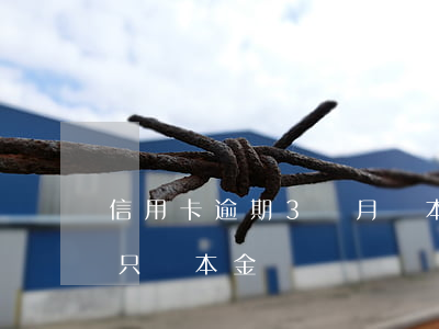 信用卡逾期3個月還本金(欠信用卡逾期可以只還本金嗎)