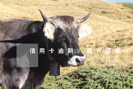 信用卡逾期3個月還第一期