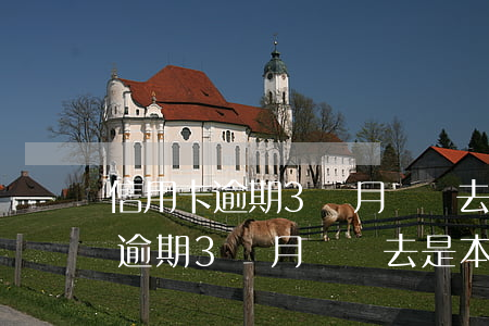 信用卡逾期3個月還進去是本金嗎-信用卡逾期3個月還進去是本金嗎怎么算