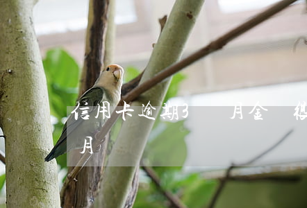 信用卡逾期3個月金額很小(信用啊逾期三個月)