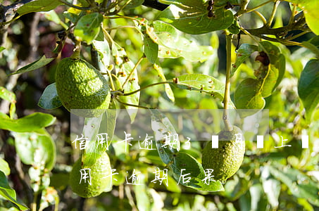 信用卡逾期3個月馬上會被起訴嗎(三個月信用卡逾期后果)