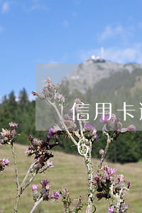 信用卡逾期3億怎么解決(信用卡逾期3萬變6萬)